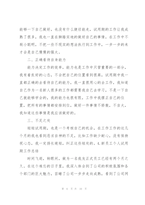 新员工个人试用期工作总结（5篇）.docx