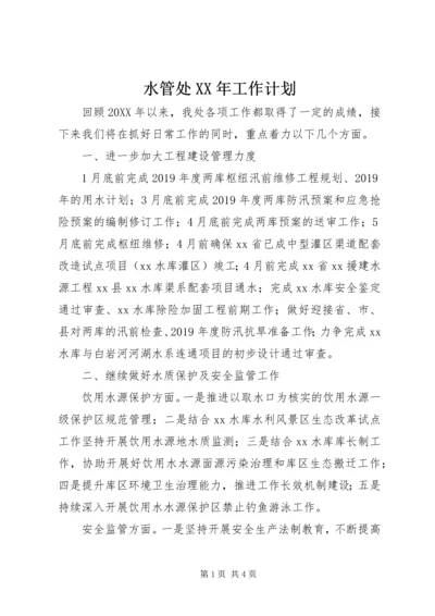 水管处XX年工作计划 (2).docx