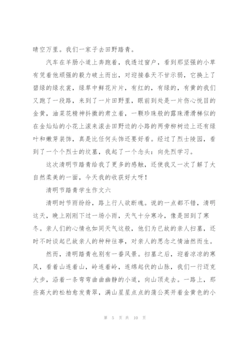 清明节踏青学生作文10篇.docx
