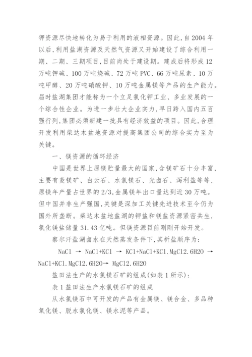柴达木循环经济的分析论文.docx