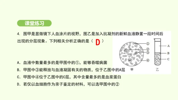 第四单元-第四章-第一节-流动的组织——血液课件-2024-2025学年七年级生物下学期人教版(20