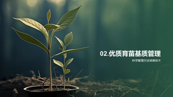 育苗新科技，农业新未来