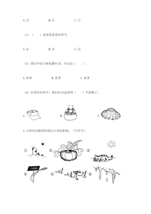 教科版二年级上册科学期末测试卷含答案【培优b卷】.docx