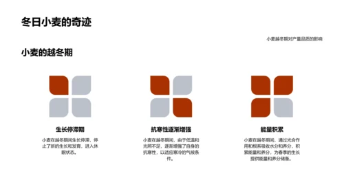 小寒气候对农业影响PPT模板