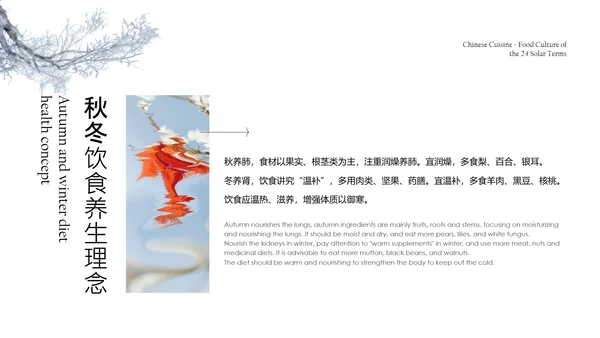 彩色抽象风中国二十四节气食物文化介绍PPT模板