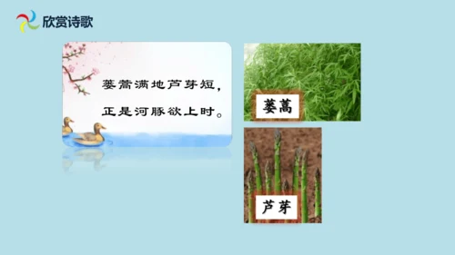 1 古诗三首  惠崇春江  晚景   课件