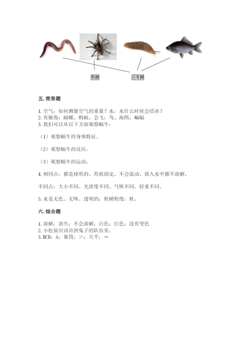 教科版一年级下册科学期末测试卷及参考答案（培优b卷）.docx