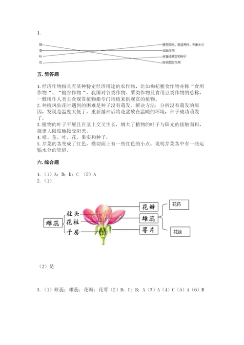 教科版科学四年级下册第一单元《植物的生长变化》测试卷【名师系列】.docx