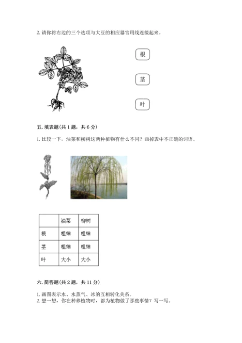 教科版科学一年级上册第一单元《植物》测试卷及答案【基础+提升】.docx