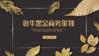 简约华丽黑金风活动策划通用PPT模板