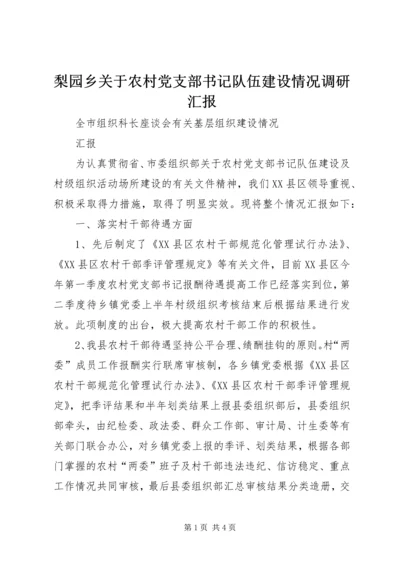 梨园乡关于农村党支部书记队伍建设情况调研汇报 (3).docx