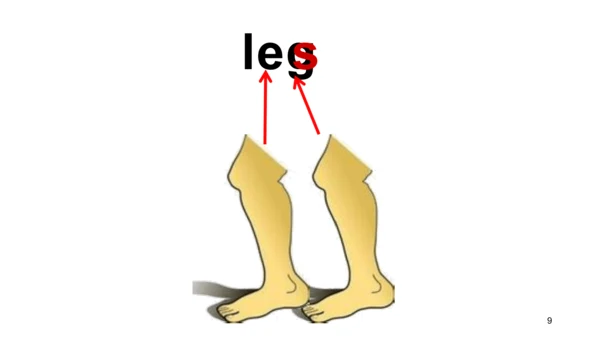 外研版一起一下Module4 Unit2 These are your legs.课件