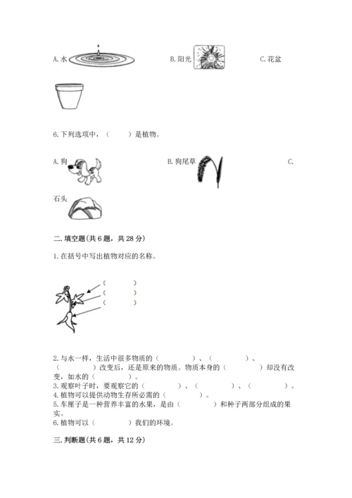 教科版科学一年级上册第一单元《植物》测试卷【基础题】.docx