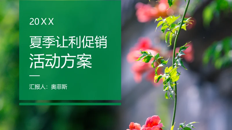 简约绿色小清新风夏季让利促销方案