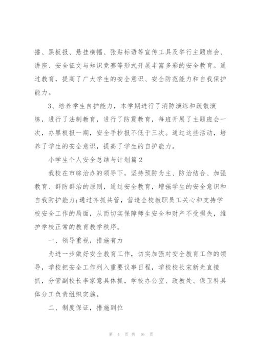 小学生个人安全总结与计划.docx
