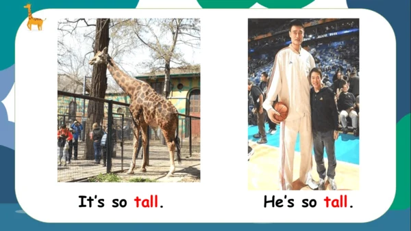 Unit3 At the zoo A let's talk 课件(共24张PPT)