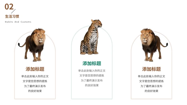 猎豹动物世界花豹科普介绍，豹子通用PPT模板
