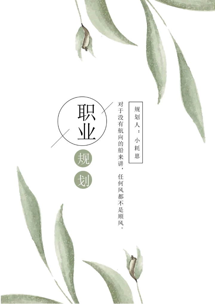 小清新清新大学生职业生涯规划书