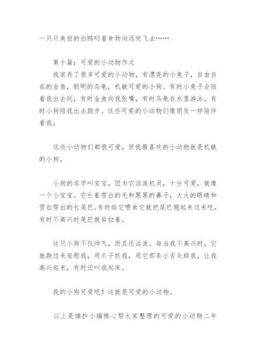 可爱的小动物二年级作文(精选10篇).docx