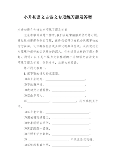 小升初语文古诗文专项练习题及答案.docx