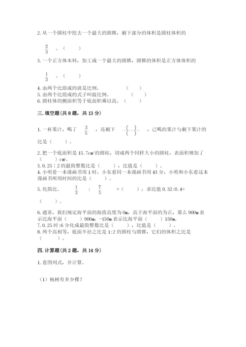 温州市瓯海区六年级下册数学期末测试卷完美版.docx