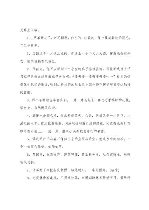 给小学三年级的比喻句集锦