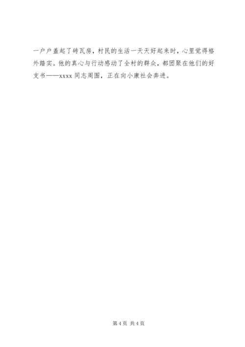 村党支部书记事迹材料 (27).docx