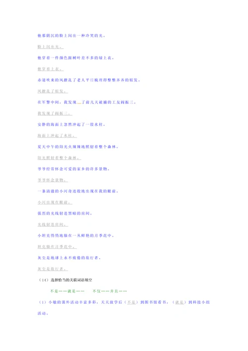 2023年小升初语文专项复习句子精编习题.docx