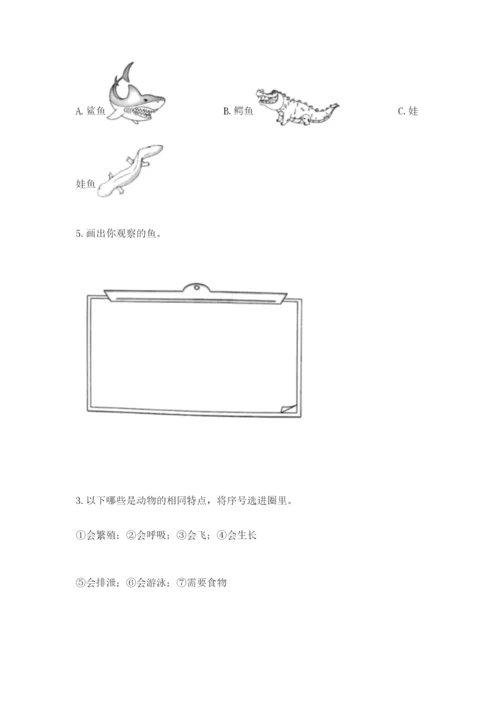 教科版一年级下册科学期末测试卷及答案（精品）.docx