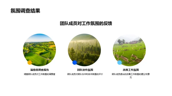 团队效能全面分析