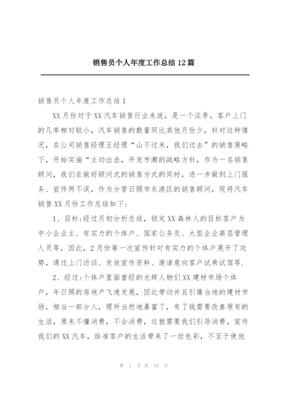 销售员个人年度工作总结12篇.docx