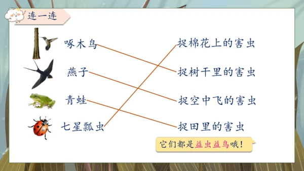 【核心素养】部编版语文一年级下册-18. 棉花姑娘 第2课时（课件）