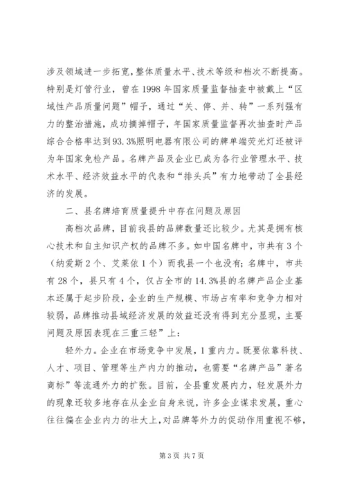 名牌质量提升调研报告 (2).docx