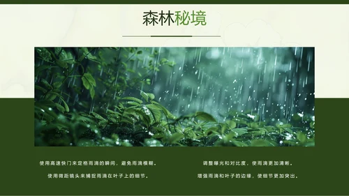 绿色简约风摄影师个人作品集PPT模板