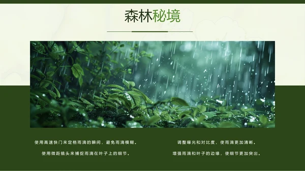 绿色简约风摄影师个人作品集PPT模板
