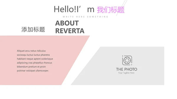 炫彩时尚公司产品介绍宣传通用PPT动态模板