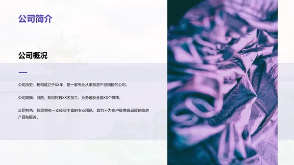 紫色商务现代旅行社产品推荐市场营销PPT模板