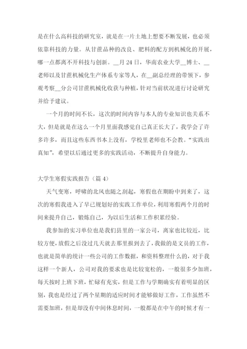 最新大学生寒假实践报告(个人通用).docx