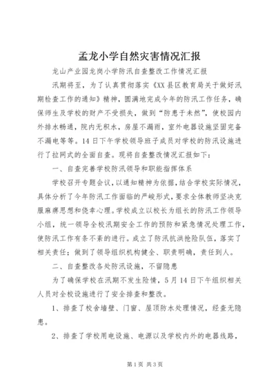 孟龙小学自然灾害情况汇报.docx