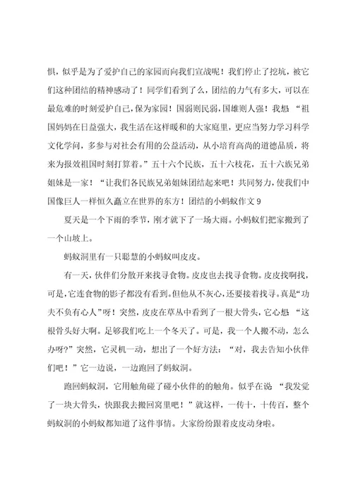 团结的小蚂蚁作文