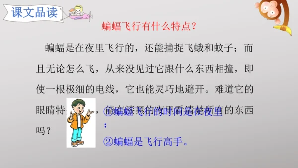 6 夜间飞行的秘密   课件