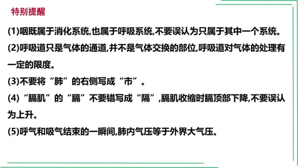 七年级下册 第三章 人体的呼吸【2023春人教七下生物期中期末复习课件】(共28张PPT)