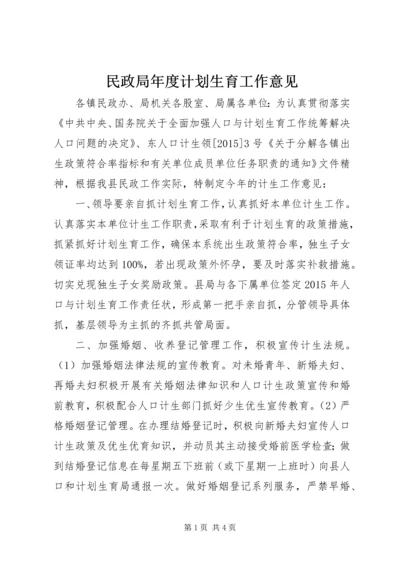 民政局年度计划生育工作意见.docx