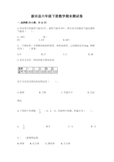 新田县六年级下册数学期末测试卷完整版.docx