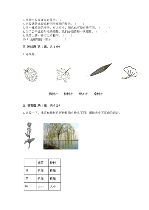 教科版科学一年级上册期末测试卷含答案【精练】.docx