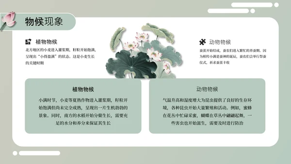 绿色中国风小满节气介绍通用模板