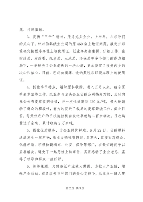 县纸业办工作报告.docx