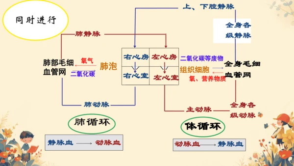 初中生物学[期末专区]七年级下册第四章和第五章复习课件(共39张PPT)