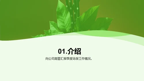 绿色守护：全面行动