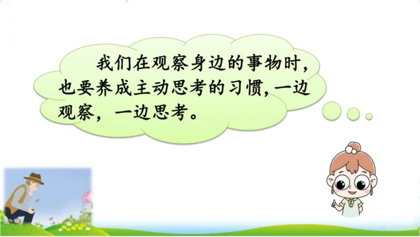 统编版语文三年级下册第四单元 《语文园地四》课件